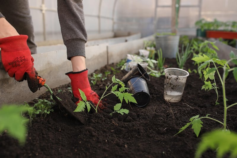 Tin Bucket Planter